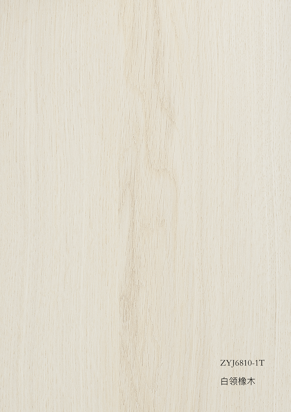 ZYJ6810-1T白领橡木
