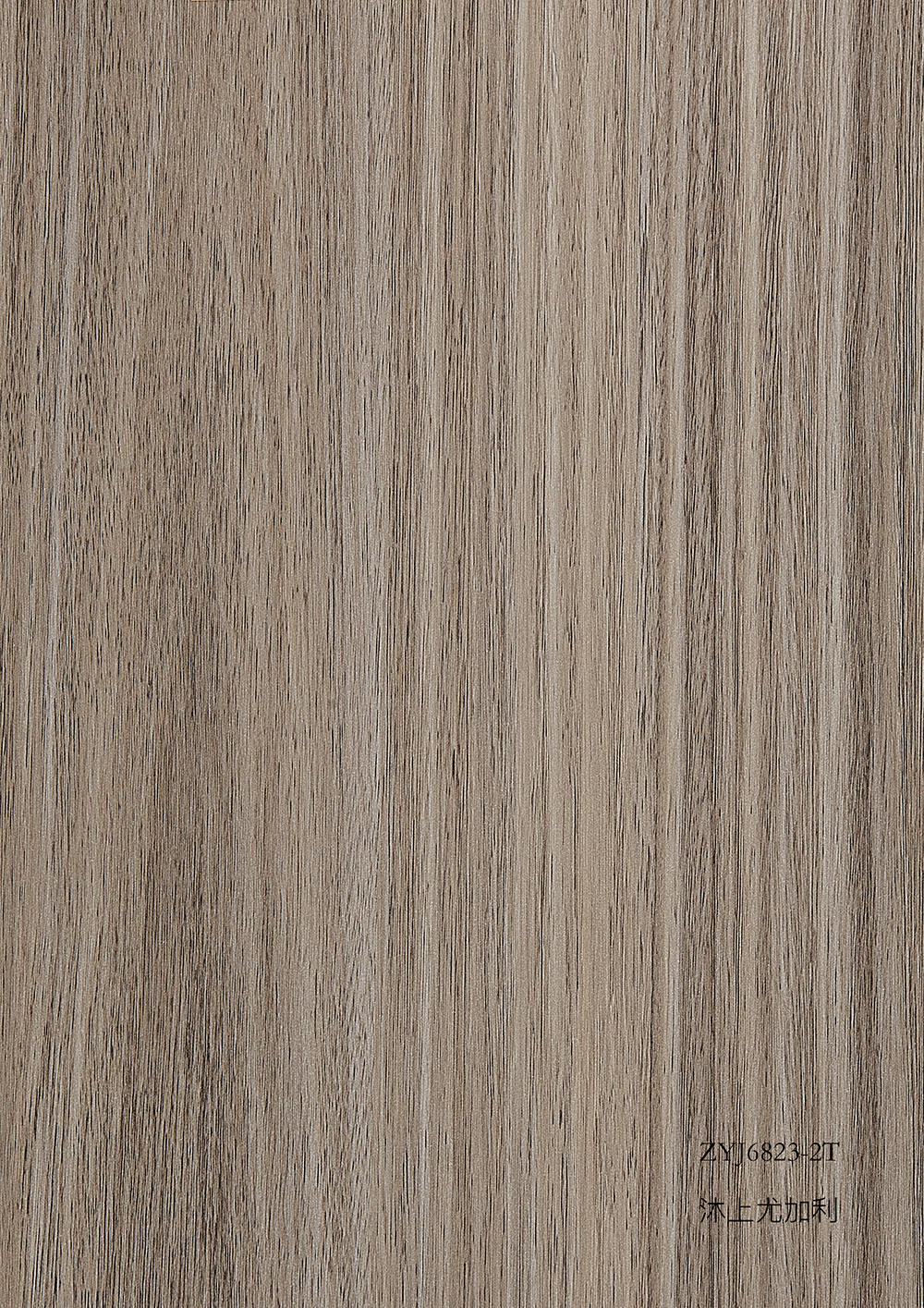 ZYJ6823-2T沐上尤加利